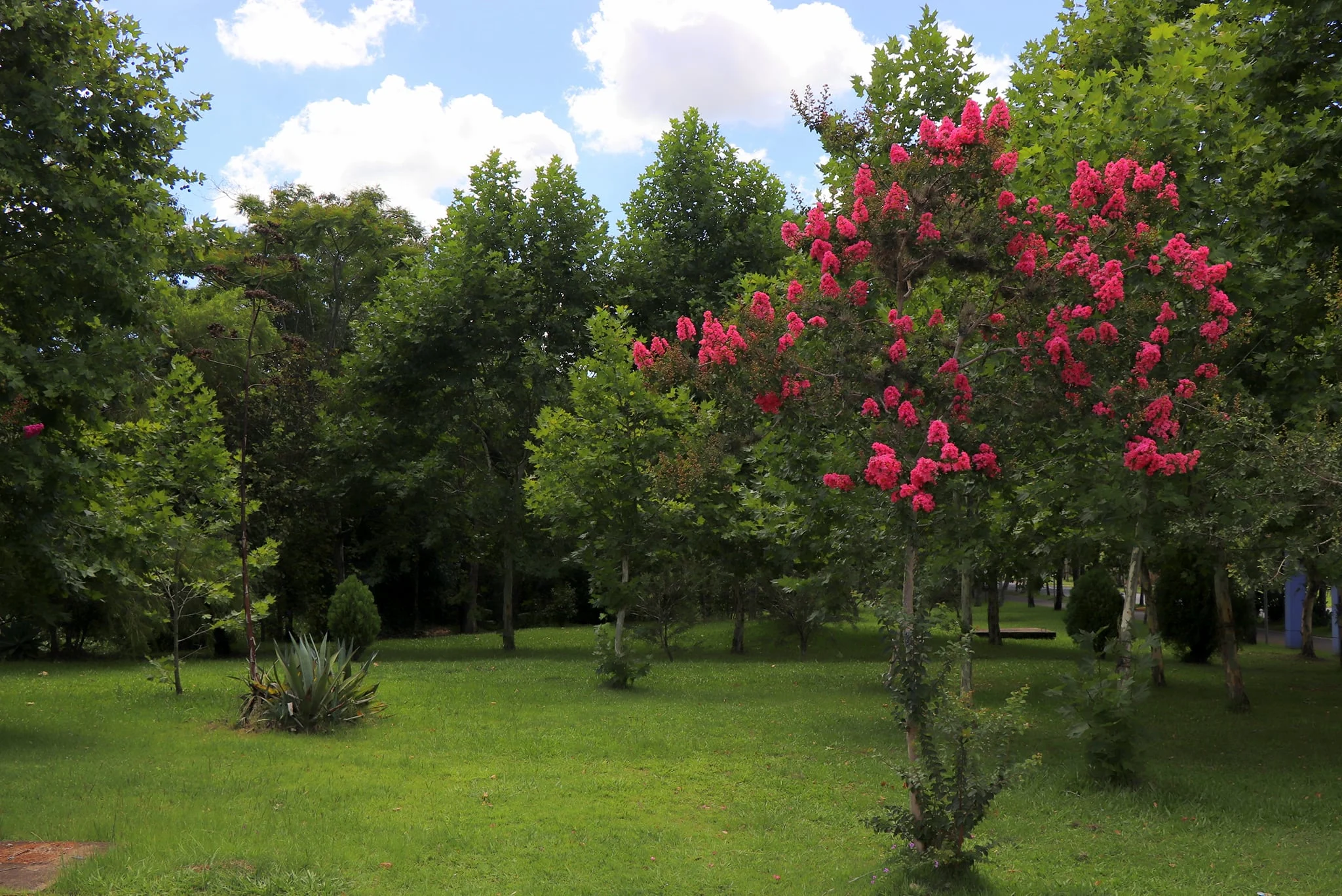 Destaque para natureza no Parcão